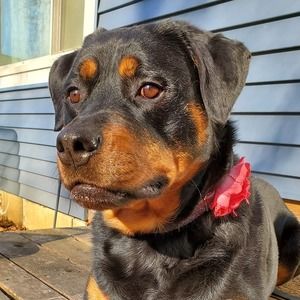 Meet your Posher, Nicki